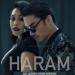 Download mp3 lagu Haram - Hael aini ft Dayang Nurfaizah (Cover) online