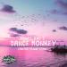 Lagu TONES AND I - DANCE MONKEY (Pollensi Reggae Remix) mp3