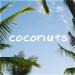 Download Coconuts Lagu gratis