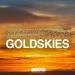 Matin Garrix, Sander van Doorn, DVBBS - Gold Skies [GABE Bootleg] lagu mp3 Gratis