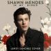 Free Download lagu Shawn Mendes - In My Blood (Leroy Sanchez Cover) terbaru di zLagu.Net
