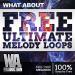 Download music FREE Ultimate Melody Loops | 50 WAV & MIDI Loops mp3 - zLagu.Net