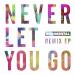 Never Let You Go (feat. Foy Vance) (Don Diablo Remix) Lagu terbaru
