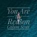 Musik You Are The Reason - Calum Scott (Cover) gratis