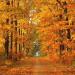 Download lagu mp3 Autumn Leaves terbaru di zLagu.Net
