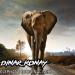 Download musik Dinarkonay - Elephant (original mix) gratis