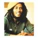Download mp3 lagu Bob Marley & The Wailers - Small Axe 2008 (Klon RMX) 4 share - zLagu.Net