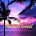 Download Gudang lagu mp3 Hawaiin Sunset