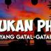 DJ BUKAN PHO TIK TOK X AHH MANTAP X TARIK SIS X DE YANG GATAL GATAL (DJ IMUT REMIX) Musik Terbaik