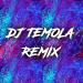 Download lagu gratis Dj Temola Remix.mp3