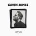 Download musik Gavin James - Always (Cyber Bootleg) baru - zLagu.Net