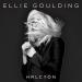 Download musik Ellie Goulding - Dead In The Water mp3 - zLagu.Net