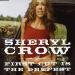 Download mp3 lagu Sheryl Crow- The First Cut Is The Deepest vocal cover gratis