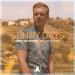 Free Download lagu Armin van Buuren feat. Josh Cumbee - Sunny Days di zLagu.Net