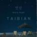 Download mp3 타이비언 (TAIBIAN) - Starry Night music gratis - zLagu.Net