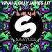 Download mp3 lagu VINAI & Olly James - LIT! (Dalva bootleg) terbaik di zLagu.Net