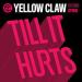 Download music Yellow Claw - Till It Hurts Ft. Ayden (DJ L - Star Remix) terbaik