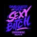 Download lagu DAVID GUETTA - SEXY BITCH (FEAT. AKON) [10BREWS REMIX]***START AT 0:30 mp3 baik