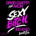 Gudang lagu Da Guetta feat. Akon - Sexy Bitch ( Kaio HePlay Bootleg) mp3 gratis