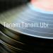 Download music Tanam Tanam Ubi baru - zLagu.Net