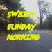 Download mp3 Terbaru Sweet Sunday Morning gratis - zLagu.Net