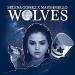 Download music Selena Gomez Wolves (Ft. Marshmello) Shay T Remix mp3 - zLagu.Net