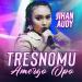 Download lagu gratis Tresnomu Amergo Opo terbaru