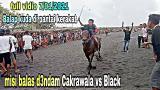 Download Video Lagu Full io Balap kuda di pantai kerakat terbaru 7/01/2021 || horse racing 2021
