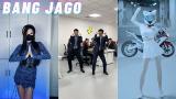 Download Lagu AMPUN BANG JAGO REMIX Funny Dance Challenge | Tik Tok Compilations Video