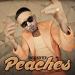 Download mp3 Terbaru tin Bieber - Peaches (Onderkoffer Remix)