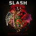 Download lagu Slash Ft. Myles Kennedy and The Conspirators - Anas (Guitar Cover) terbaik di zLagu.Net