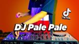 Video Music DJ PALE PALE VIRAL TIK TOK ! Magic In The Air ( DJ Nansuya & DJ DESA Remix ) Terbaik di zLagu.Net