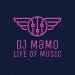 Download mp3 lagu sein el jasmi - Bel bont el 3areed (DJ MaMo Remix 2020) terbaik