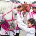 Download mp3 lagu The Pink Caravan ers Hessa Al Jasmi and Sheikha Al fa (27.02.2020) baru di zLagu.Net