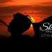 Download lagu terbaru Shepia - Sheila on 7 (reggae cover)Febrian Ska mp3