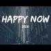 Free Download mp3 Terbaru Zedd & Elley Duhé - Happy Now (Wozinho Remix) [FREE DOWNLOAD] di zLagu.Net