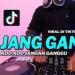 Download mp3 lagu DJ JANG GANGGU YANG ITU SA PUNYA JANG GANGGU REMIX VIRAL TIKTOK 2021(NWP REMIX) terbaik di zLagu.Net