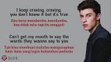video Lagu Imagination - Shawn Mendes (Lyrics eo dan terjemahan) Music Terbaru - zLagu.Net