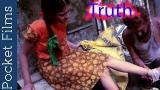 Video Music Hindi Short Film – Truth – A film about true Relationships Gratis di zLagu.Net