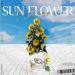 Download SunFlower 2021 - [DJ Giang Tô] X.X mp3 Terbaru