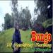Download mp3 lagu Sri Fayola - Bungo Di Rantiang Kariang di zLagu.Net