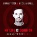 Download lagu gratis Burak Yeter & Cecilia Krull - My Life Is Going On (Burak Yeter Remix) terbaik