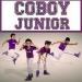 Download musik Coboy Junior - Terhebat mp3