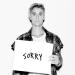 Gudang lagu mp3 tin Bieber - Sorry
