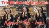 Download Video Lagu Gedruk Kembang RaweTrio Sindene Dalang Seno ,Agnes ,Ika, ayu baru - zLagu.Net