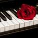 Download The Bee Gees - How Deep Is Your Love (Piano Cover) lagu mp3 gratis