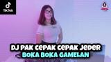 Music Video DJ PAK CEPAK CEPAK JEDER X BOKA BOKA GAMELAN || VIRAL TIKTOK!!! (DJ IMUT REMIX) Terbaik