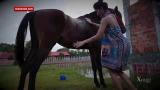Video Lagu Music Fantastis !! Gadis cantik dengan kuda kesayangannya sedang melakukan beginian Terbaru di zLagu.Net