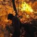 Download lagu mp3 Kebakaran Hutan di Taman Nasional Baluran Meluas terbaru