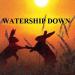 Download mp3 lagu Watership Down terbaik di zLagu.Net
